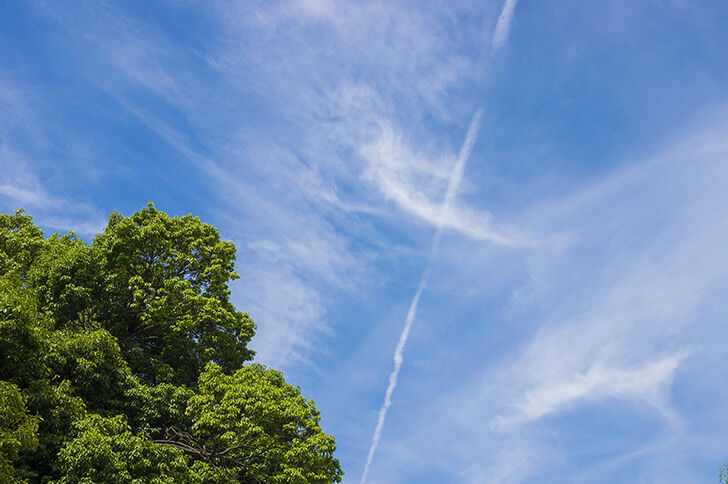 photo0000-5446